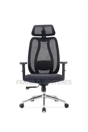 Ergonomic Mesh Office Chair With Lumbar Adjustment