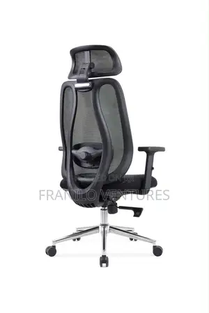 Ergonomic Mesh Office Chair With Lumbar Adjustment