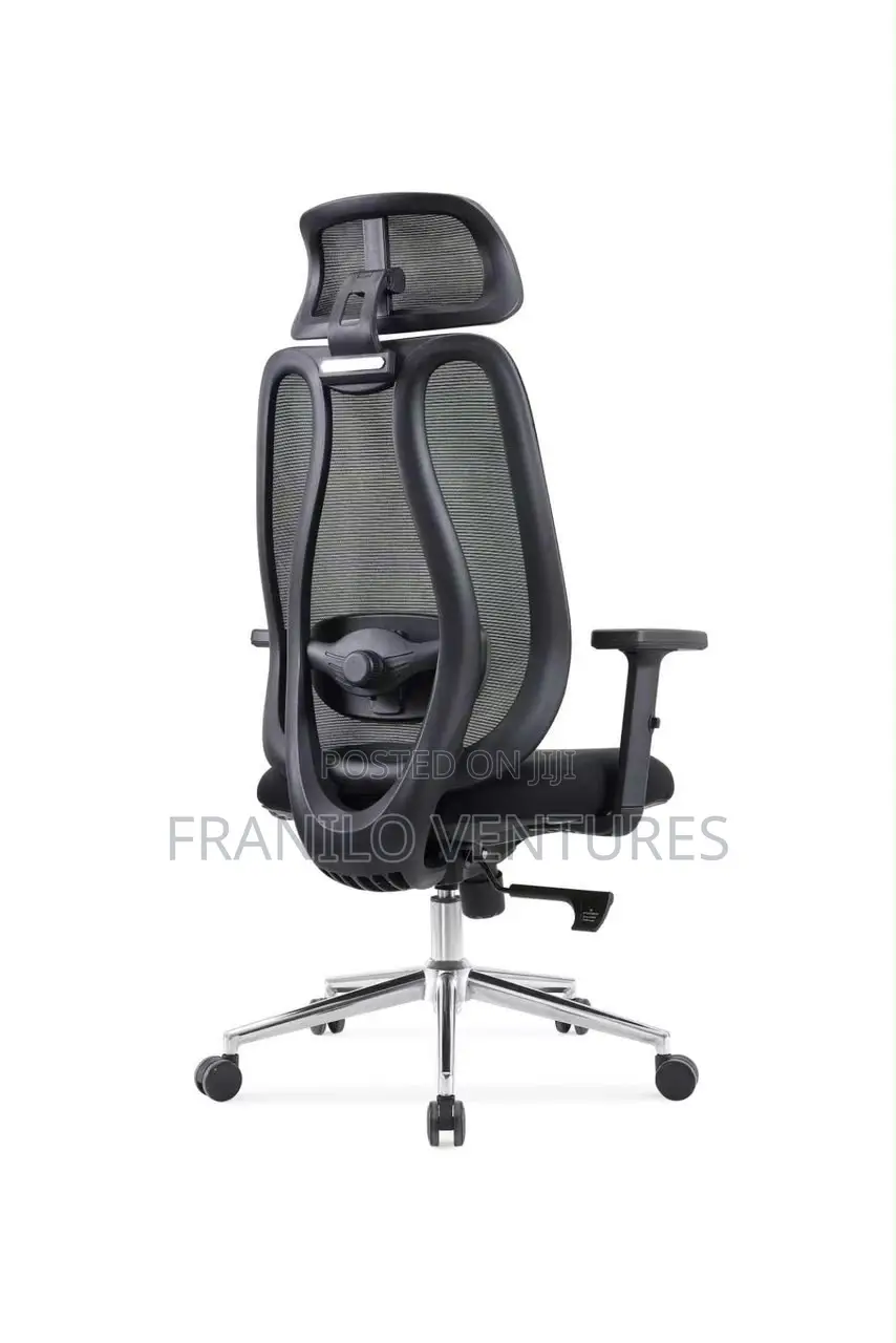 Ergonomic Mesh Office Chair With Lumbar Adjustment
