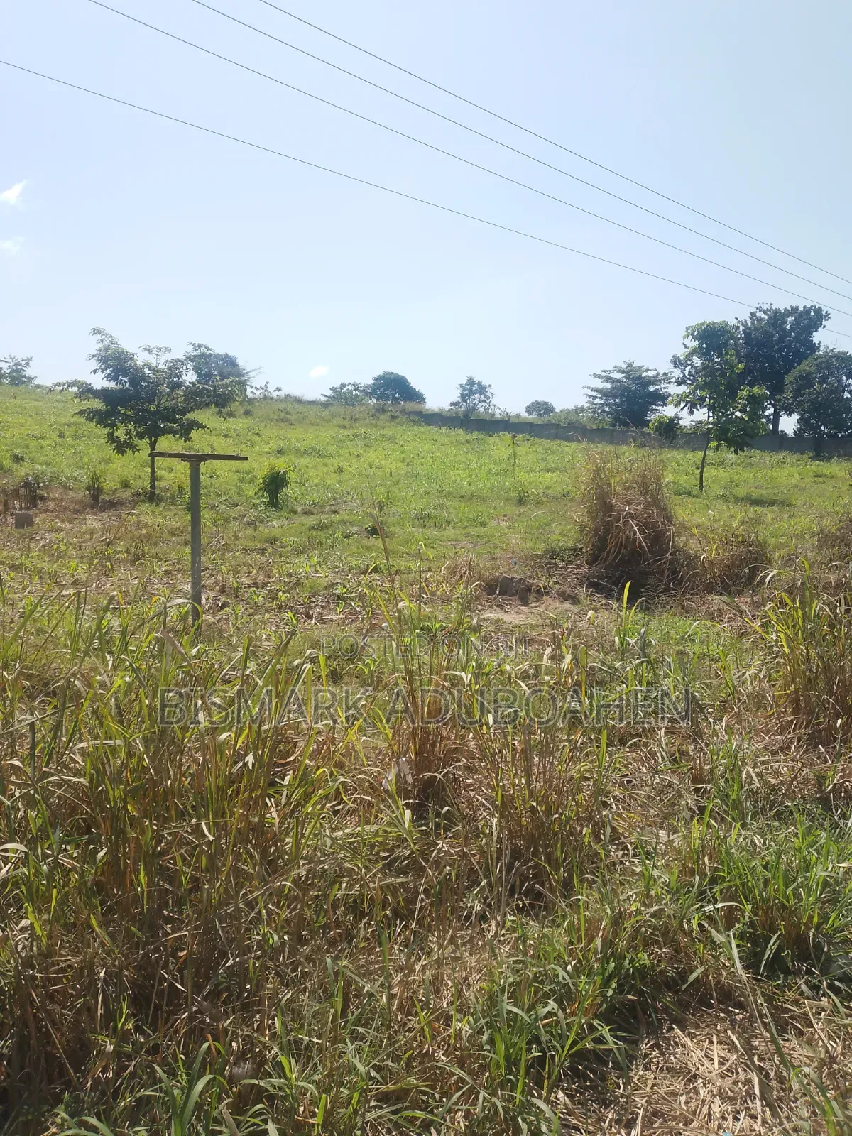 5 Acres of Land for Sale at Offinso -Techiman Highway