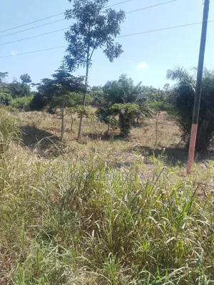 5 Acres of Land for Sale at Offinso -Techiman Highway