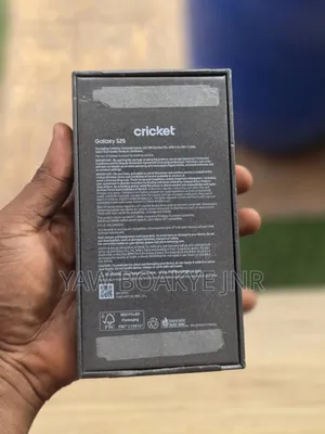 Samsung Galaxy S25 128 GB Silver