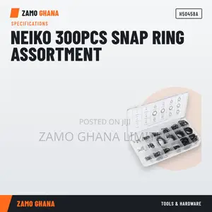 Neiko 300Pcs Snap Ring Assortment - H50458A