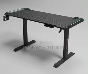 1.2m Electric Adjustable Desk( RGB)