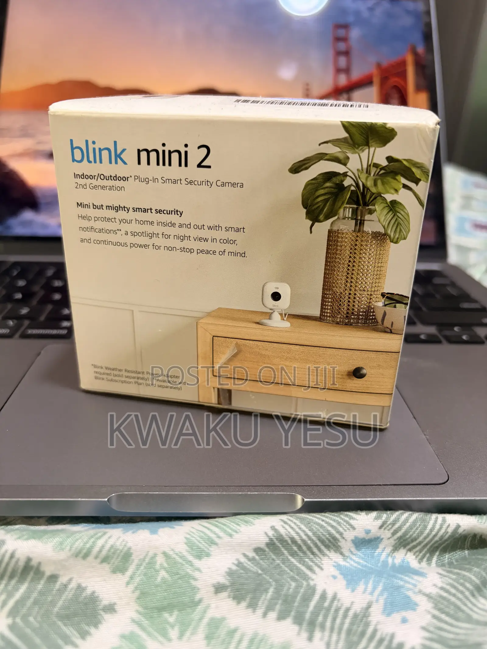 Blink Mini 2