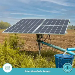 Government Borehole Solar Project