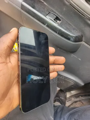 Apple iPhone 13 Pro Max 256 GB Black