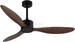 Modern 3-Blade BLDC Ceiling Fan With Remote. (No Light)