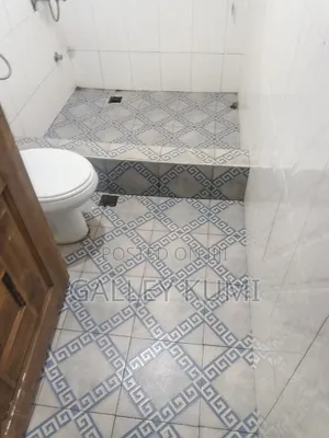 2bdrm Apartment in Expert Apartments, Ashomang Estate for rent