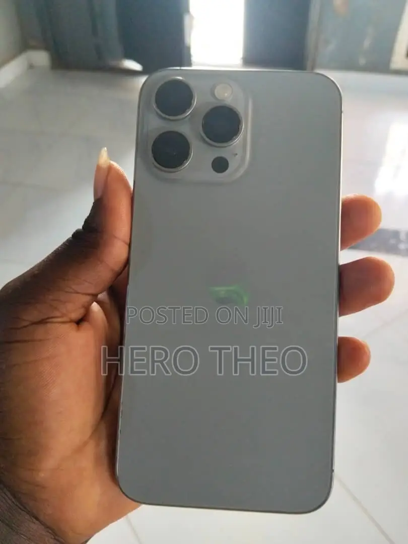 Apple iPhone 15 Pro Max 256 GB Gray