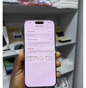 Apple iPhone 15 Pro Max 256 GB Silver