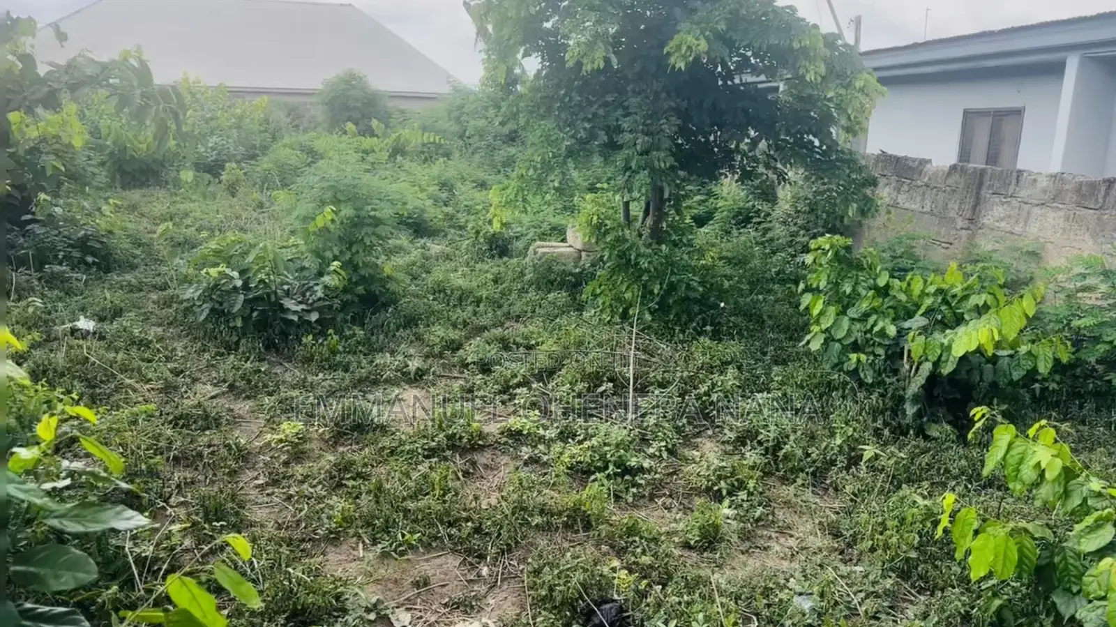 Registered Land for Sale