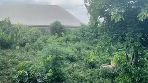 Registered Land for Sale