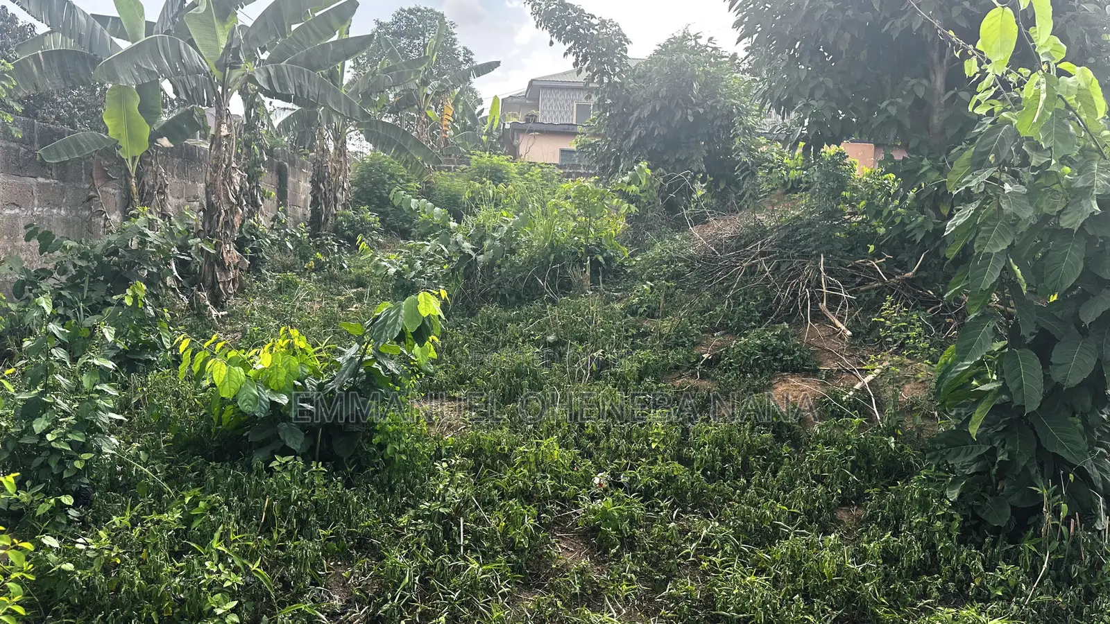 Registered Land for Sale