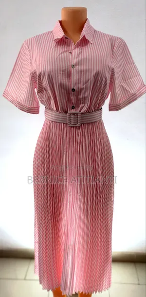A Coloured Elegant Ladies Dress