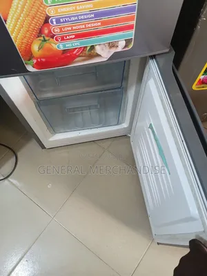 Chigo 4 Star Double Door Fridge