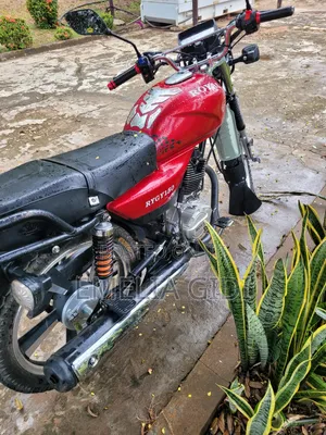 Royal RY150 2026 Red
