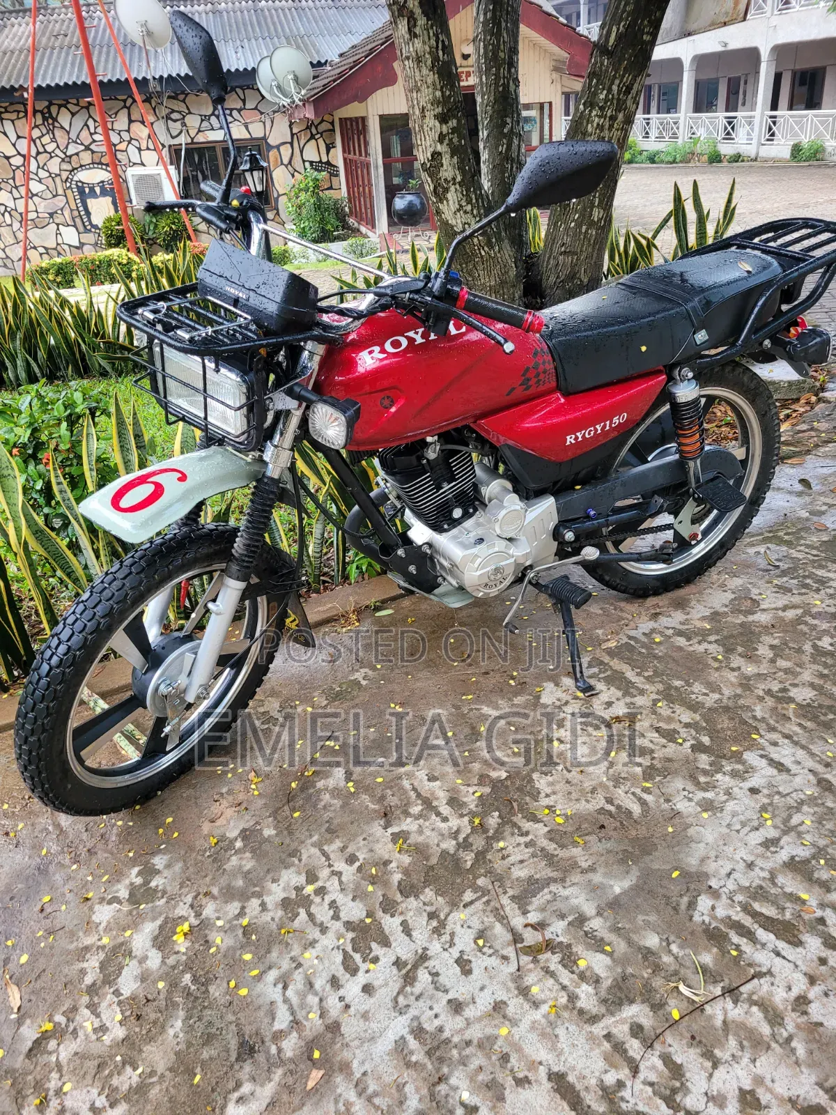 Royal RY150 2026 Red