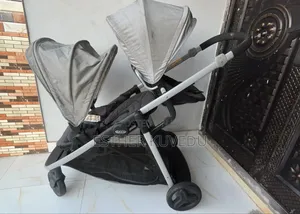 Graco Double Incline Stroller