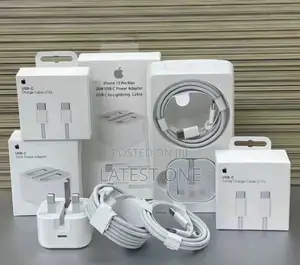 Original iPhone Charger