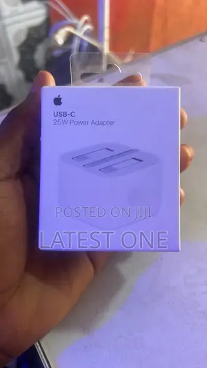 Original iPhone Charger