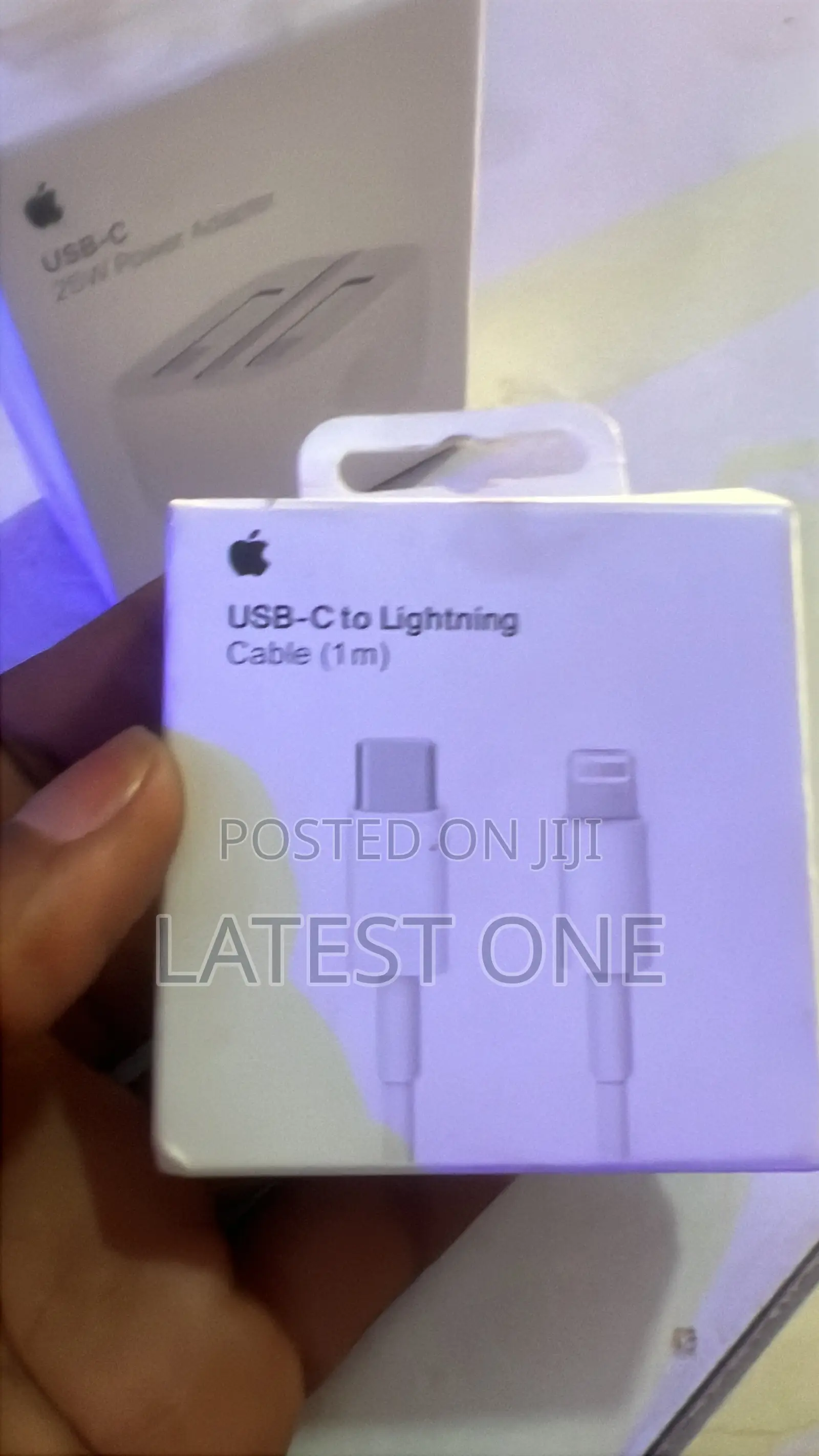 Original iPhone Charger