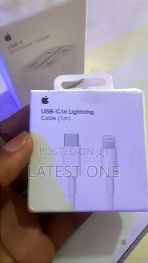 Original iPhone Charger