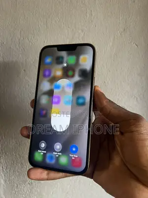 Apple iPhone 13 Pro Max 256 GB Gold