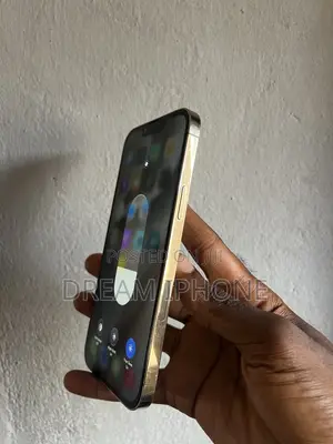 Apple iPhone 13 Pro Max 256 GB Gold