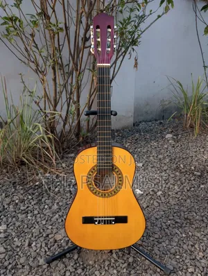 Encore Enc 120FT Classical Guitar 3/4 Size With Bag