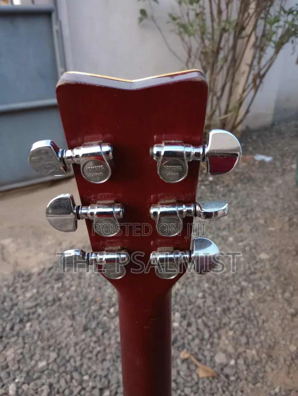 Yamaha Fg 351sb Acoustic Guitar (Professional Brand)