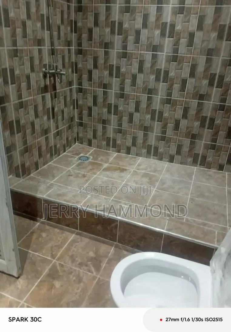2bdrm Apartment in Tseaddo East Airport for rent