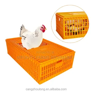 Transport Cages