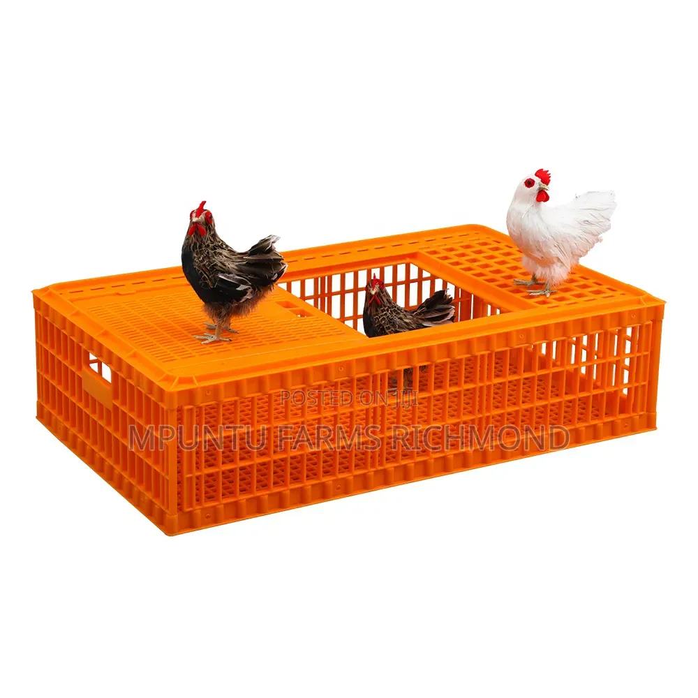 Transport Cages