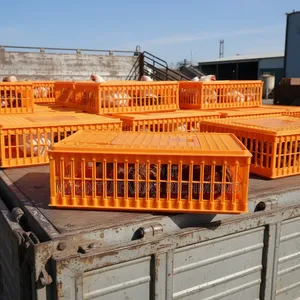 Transport Cages