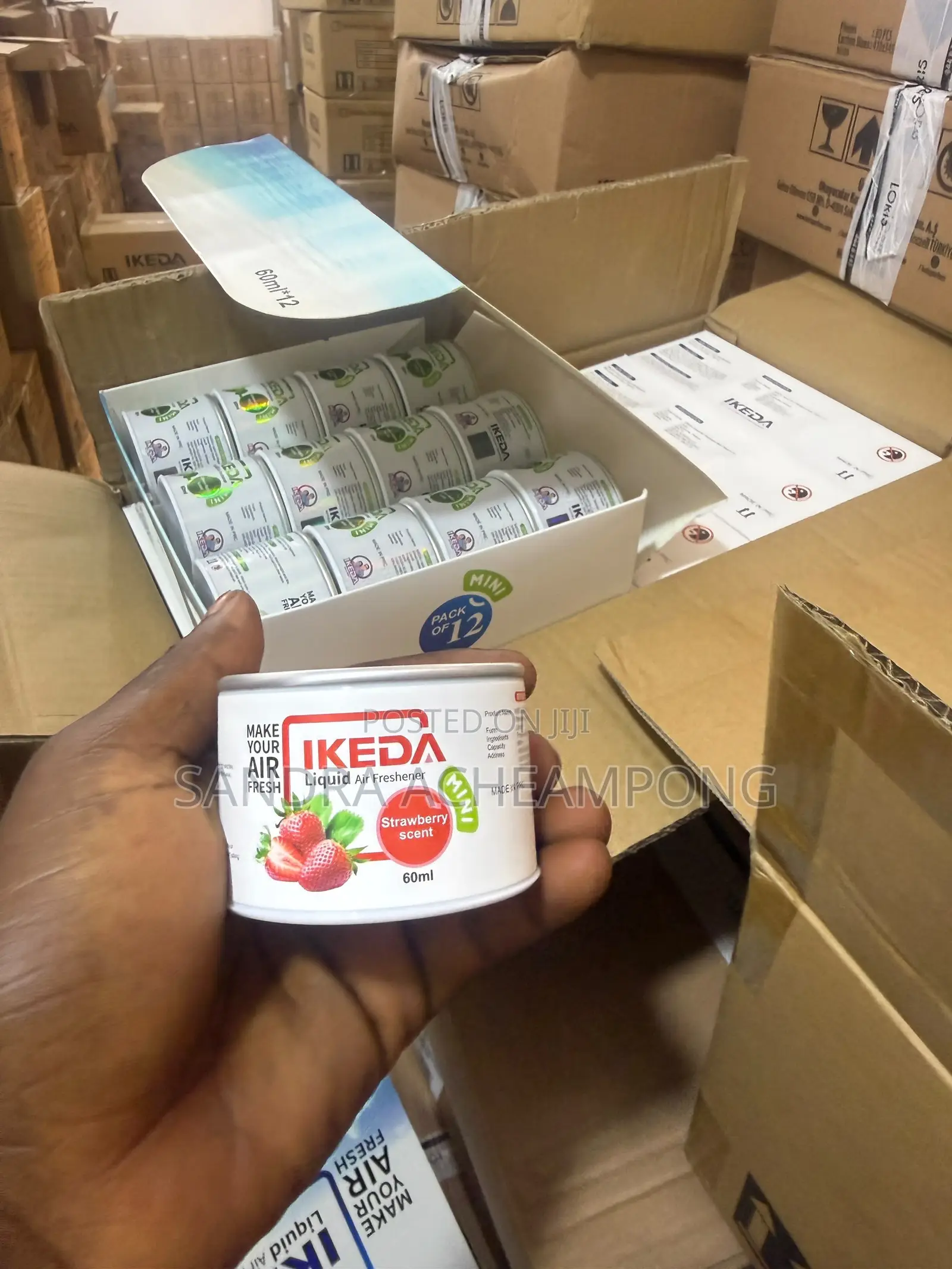 Rechargeable Diffuser/IKEDA-100Gh