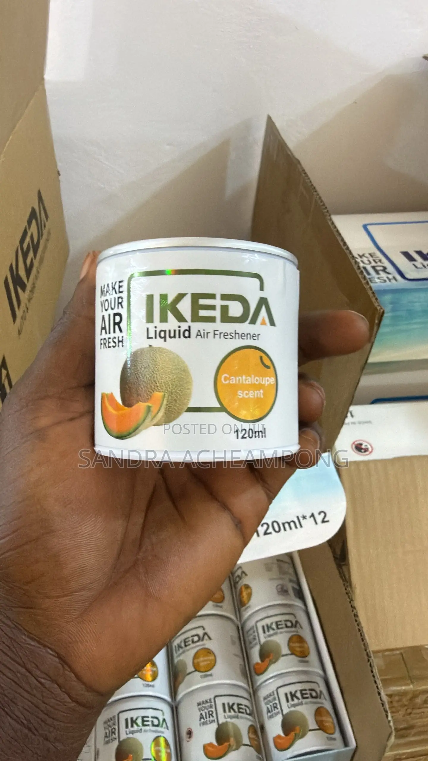 Rechargeable Diffuser/IKEDA-100Gh