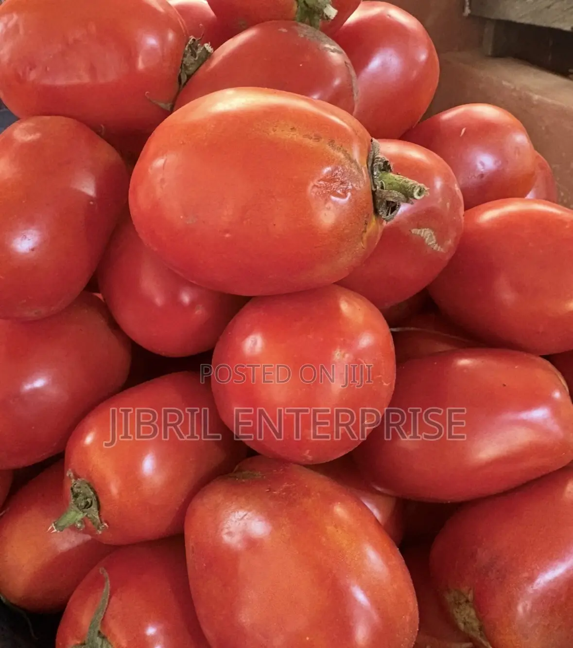 Roma Tomato, Burkina Tomato, Non Hybrid Seeds for Planting