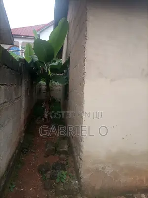 Fenced Plot With 2 Buildings on It at Afrancho Bible School Kumssi