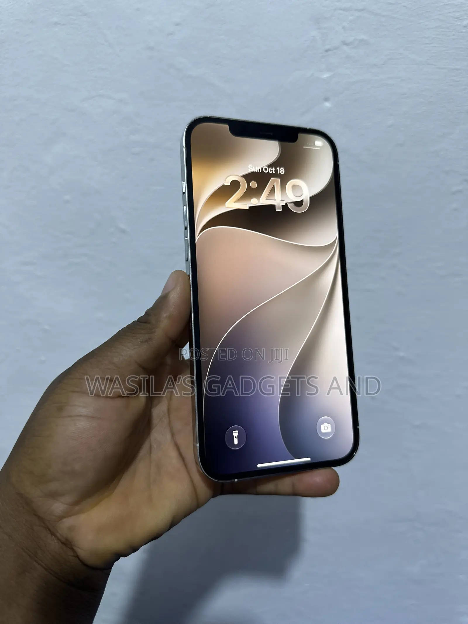 Apple iPhone 12 Pro Max 256 GB White