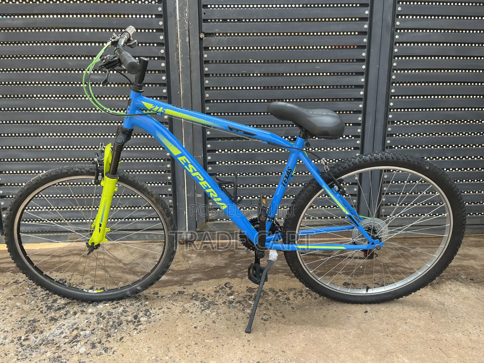 Mountain Bike