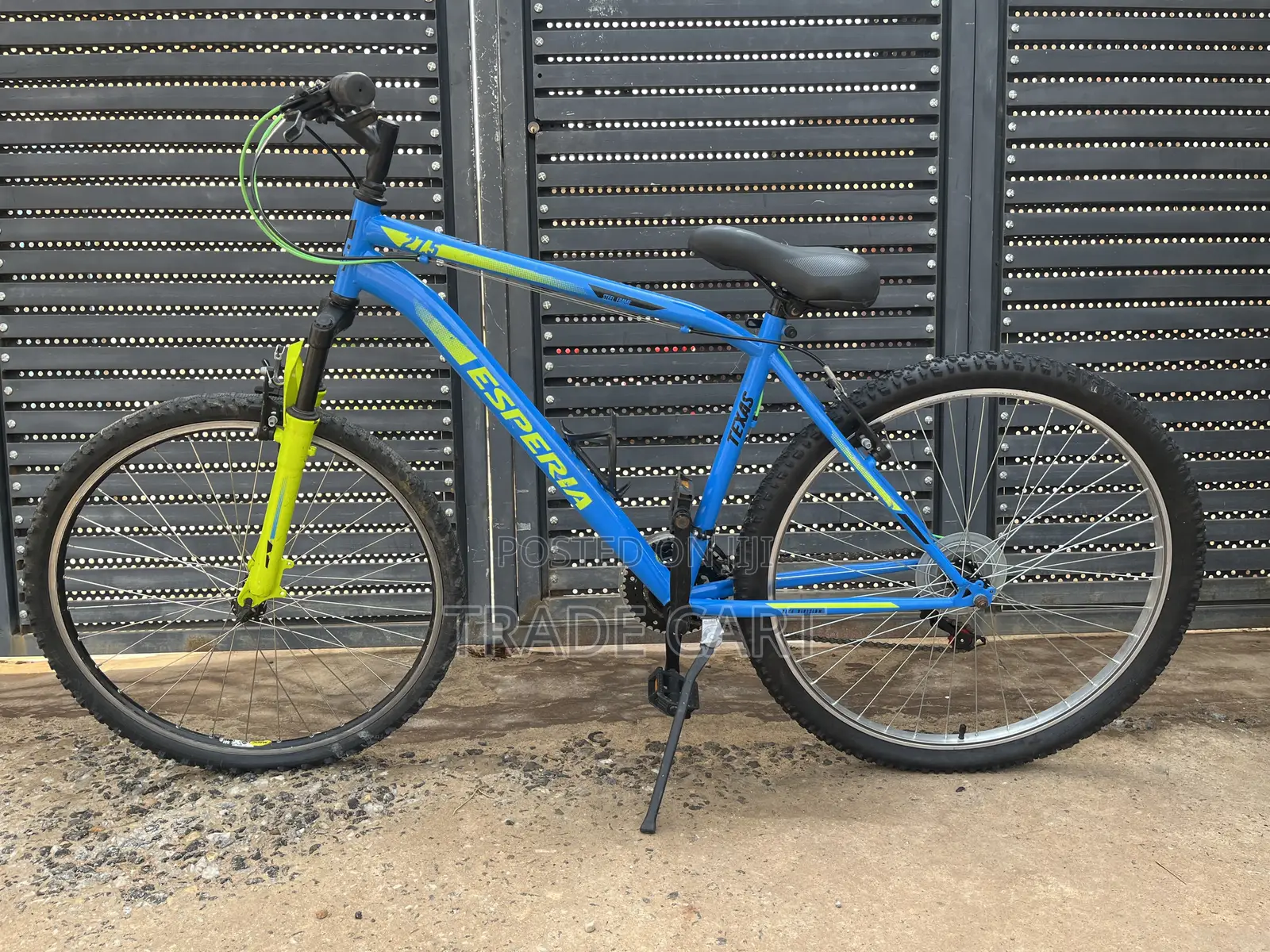 Mountain Bike