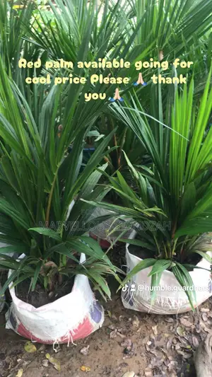 Humble Gardens