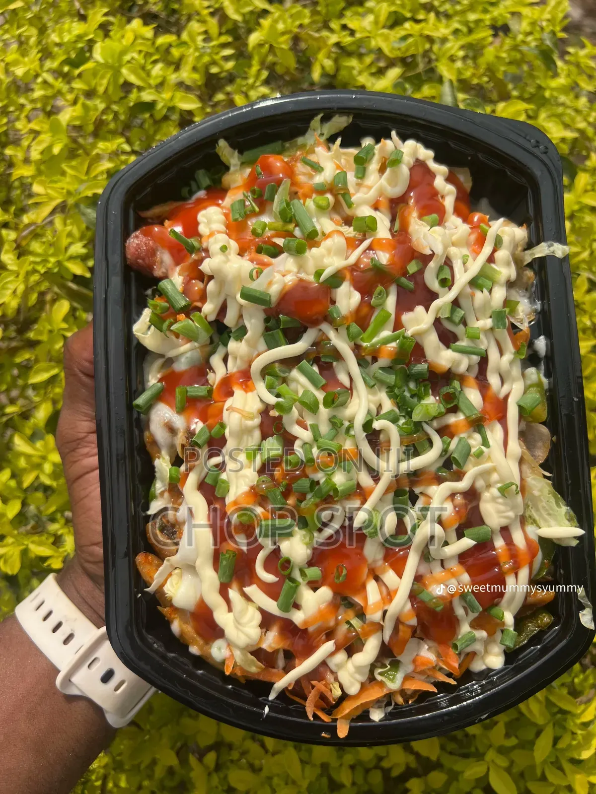 Loaded Fries
