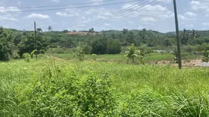 2plots Land for Sale at Dodowa