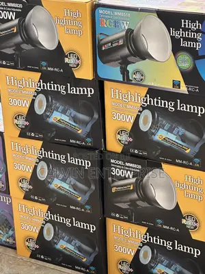 300watt Lighting Lamp