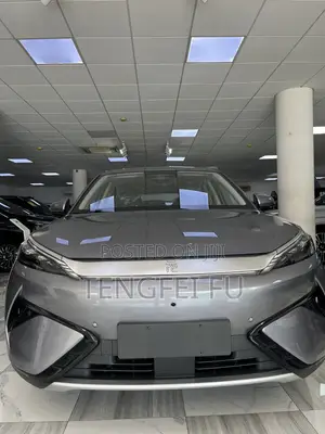 New BYD Yuan Plus 2025 Gray