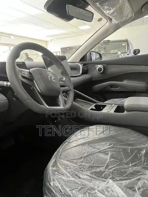 New BYD Yuan Plus 2025 Gray