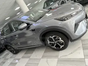 New BYD Yuan Plus 2025 Gray