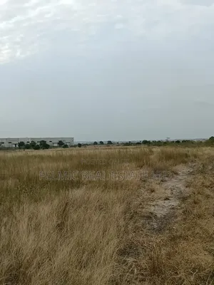 14 Acres of Land After Central University (Dawenya) for Sale